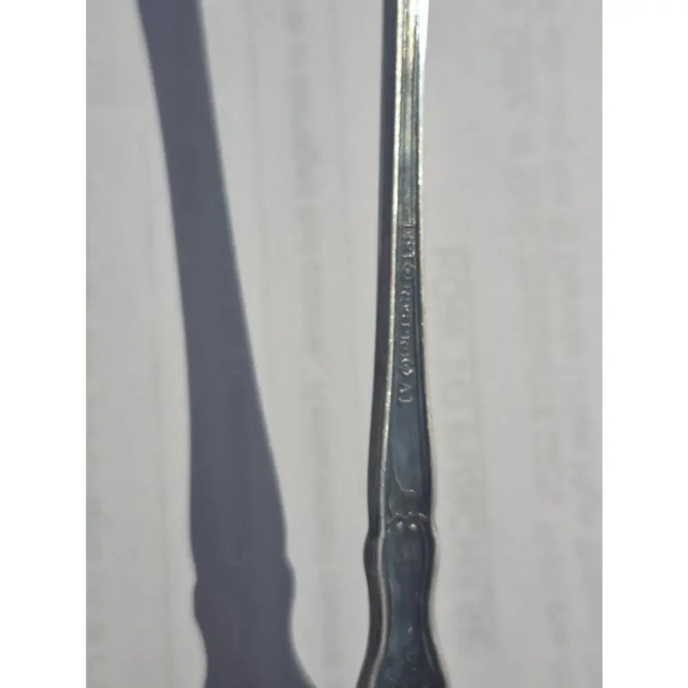 ANTIQUE 1847 ROGERS BROS VINTAGE GRAPE TEA STRAINER